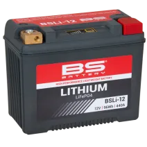 BSLI-12