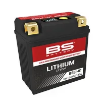 BSLI01